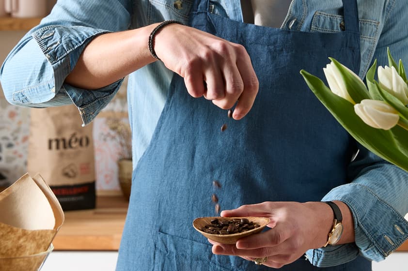 Personne en tablier bleu ajoutant des grains de café dans un bol, avec des tulipes blanches et un sac de grains de café Meo visibles en arrière-plan.