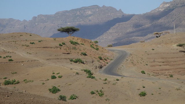 une route sinueuse à travers un paysage montagneux et aride avec une végétation clairsemée et un ciel clair.